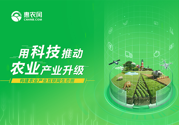 國際商報專訪 | 對接農(nóng)業(yè)各環(huán)節(jié)助力精準扶貧 農(nóng)村電子商務(wù)綻放光芒
