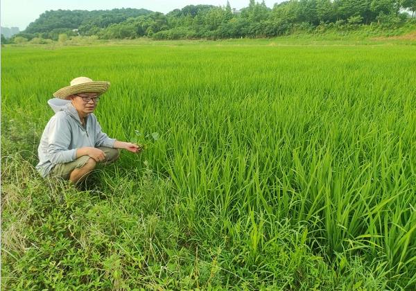 年入200余萬元！看80后IT高管如何靠惠農(nóng)網(wǎng)跨界生財
